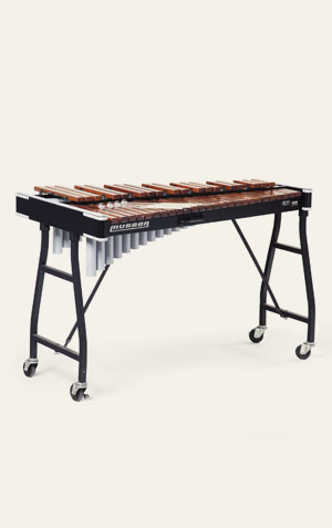 xilone instrumento de percussão